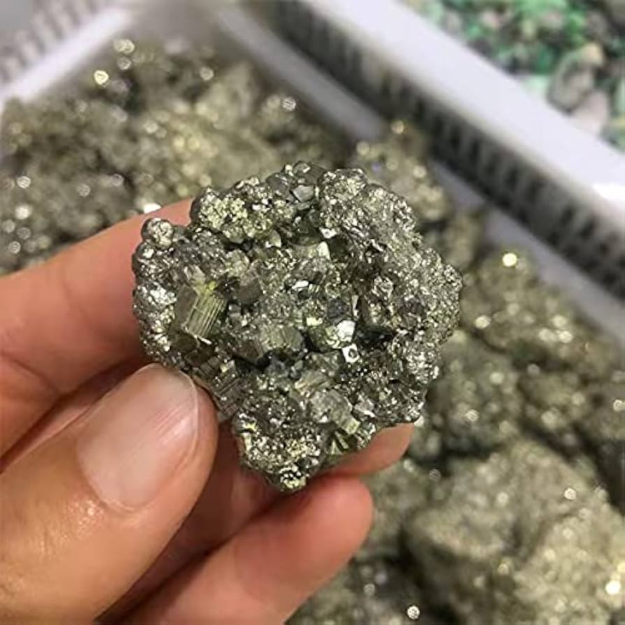 51x9z0cx2OL._AC_UF894,