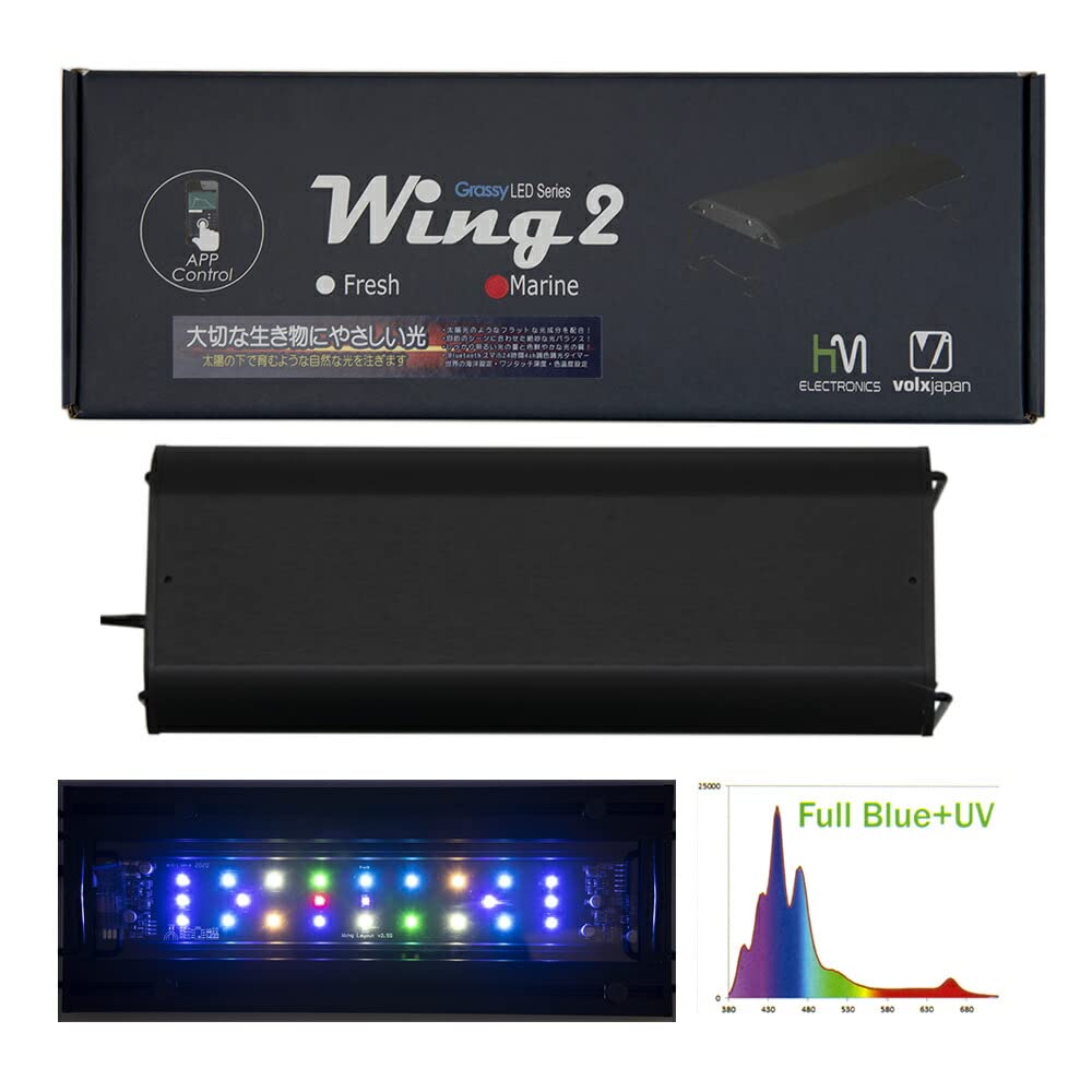 volx grassy wing2 marine 30cm Grassy Wing2 / 60 Marine ライト