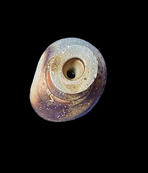 隠崎隆一 備前焼 酒呑 共箱 ぐい呑 酒器 酒盃 酒杯 食器 お猪口