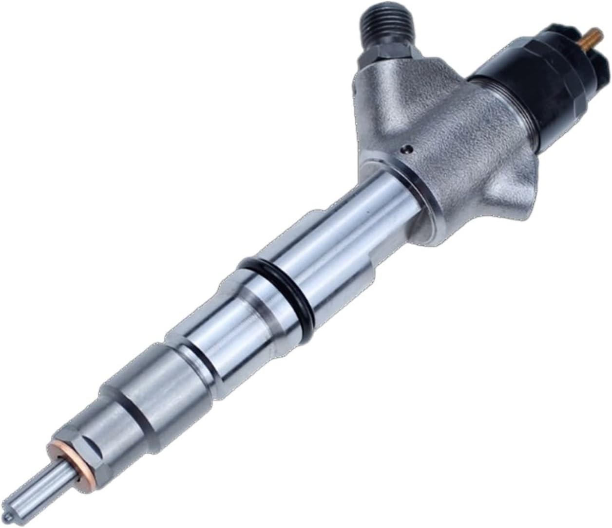 アツ MARU 95 2個 ADA レパンテス・カロディクティオン 。 アツ様専用