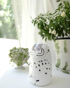 イッタラバードオウルシロフクロウ Snowy owl