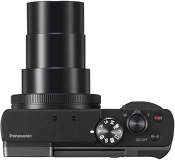 Amazon.com : Panasonic LUMIX DC-ZS70S, 20.3 Megapixel, 4K Digital