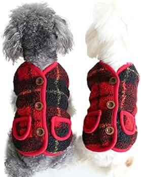 51yIhqPtyvL._AC_UF350,