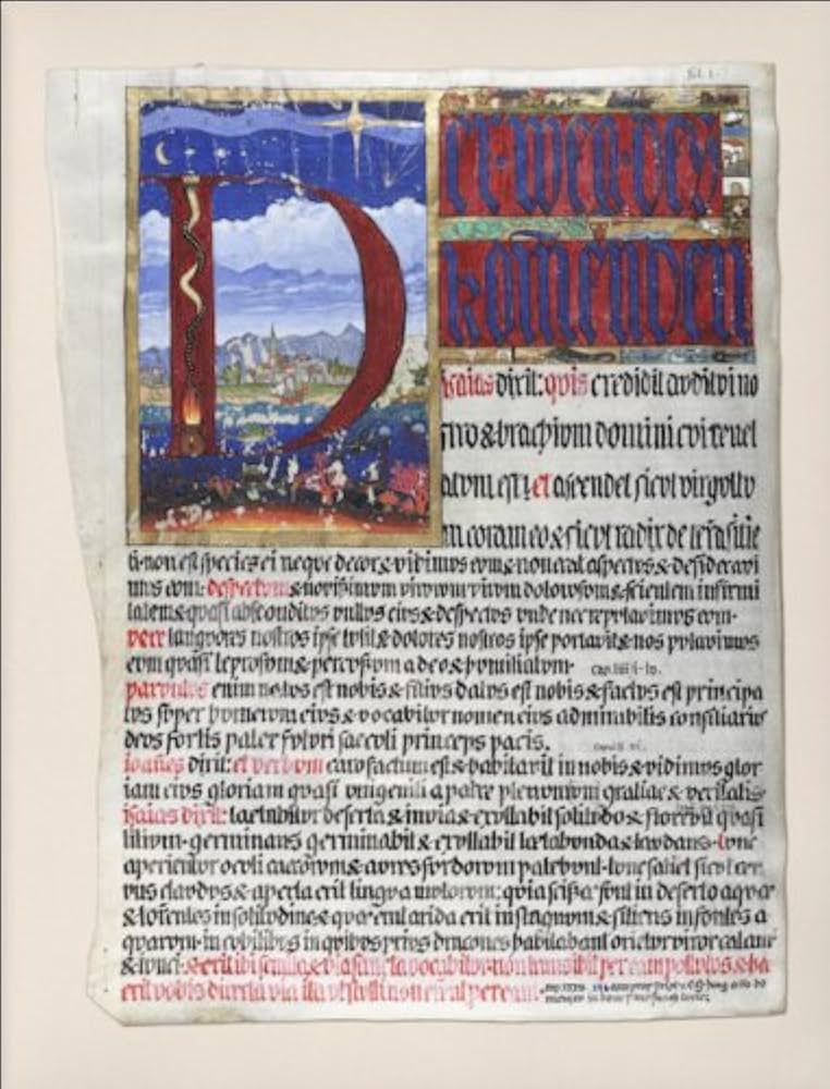 Amazon.co.jp: 赤の書 ―The“Red Book