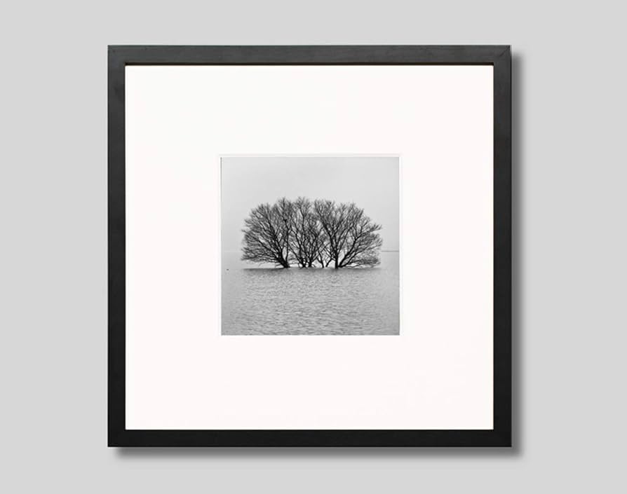 Amazon.co.jp: IGREBOW インテリアフォト 写真/琵琶湖 湖のおしゃれな