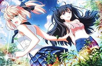 Amazon.co.jp: セイバー＆遠坂凛 B2タペストリー 武内崇イラスト