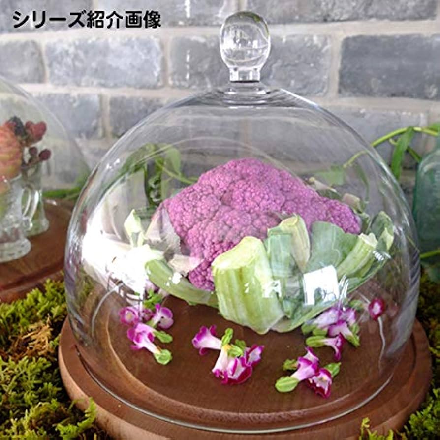 51zONbWpTDL._AC_UF894,