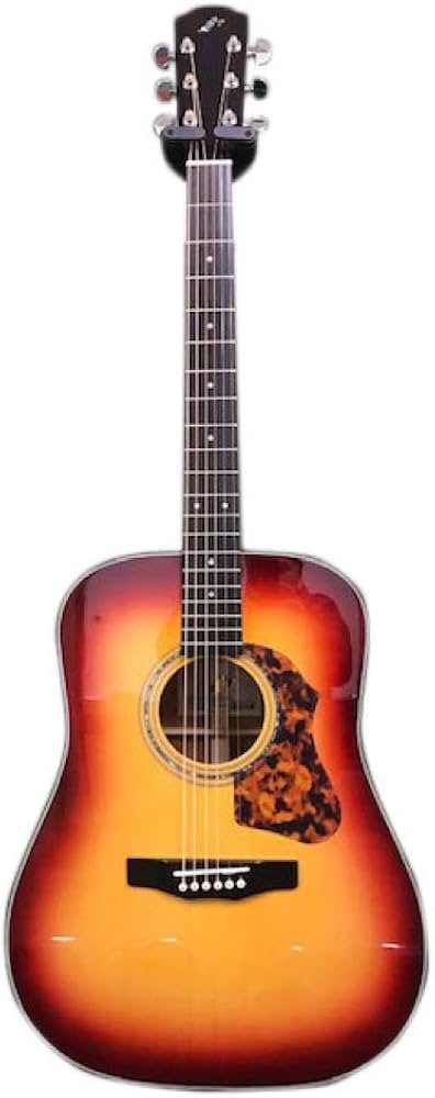 Amazon.co.jp: Morris (モーリス) アコースティックギター M-80II RBS