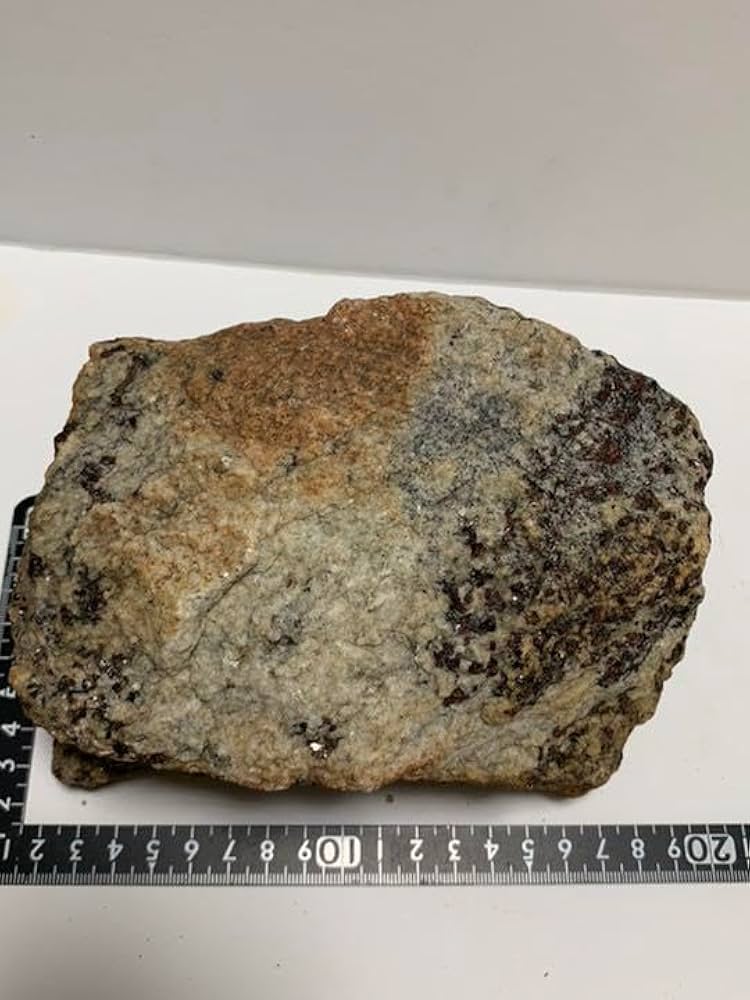 南極 南極の石 しらせ 昭和基地 南極観測船 ふじ Amazon.co.jp: 南極 南極