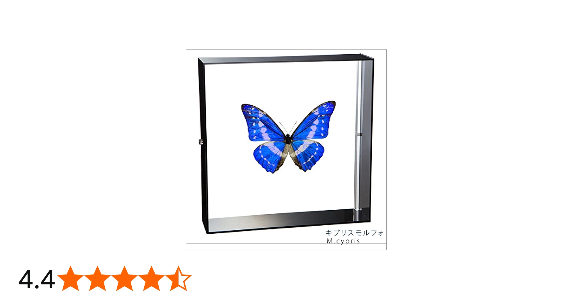 51ARlD4RXVL.jpg_BO30,255,255,