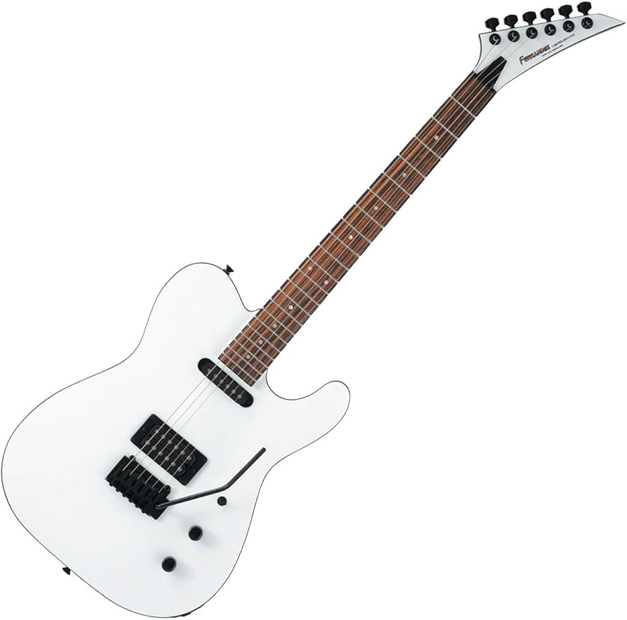 Amazon | FERNANDES TEJ-STD SH SW エレキギター初心者14点セット