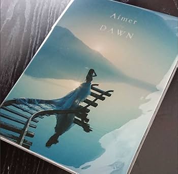 Amazon.co.jp: Aimer DAWN パンフレット 写真集 ライブ ツアー グッズ