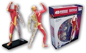 Amazon.co.jp: 青島文化教材社 スカイネット 立体パズル 4D VISION