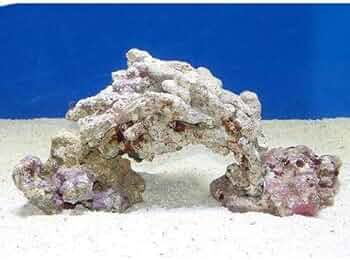 51ClSDtheZL._AC_UF350,