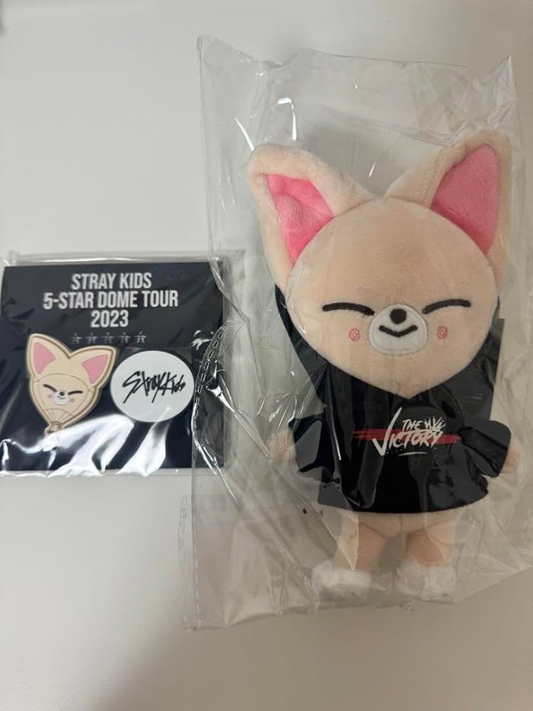 stray kids skzoo in アイエン フォクシニ まとめ売り セット