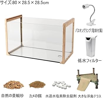 Amazon | 亀 水槽 大きい 透明 リクガメ ケージ カメの生息地 飼育箱