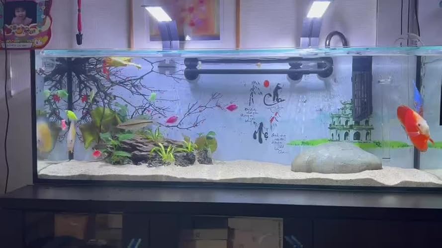 Amazon | 寿工芸 寿工芸 レグラスフラット F-90S/B | Kotobuki | 水槽 通販