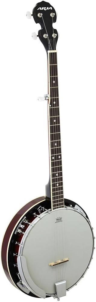 Amazon.co.jp: バンジョー ARIA SB-10 : 楽器・音響機器