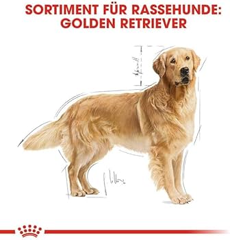Amazon.co.jp: ロイヤルカナン ゴールデンレトリバー 3kg 成犬・高年齢