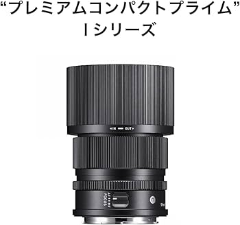 Amazon.co.jp: シグマ(Sigma) レンズ 90mm F2.8 DG DN Lマウント 単
