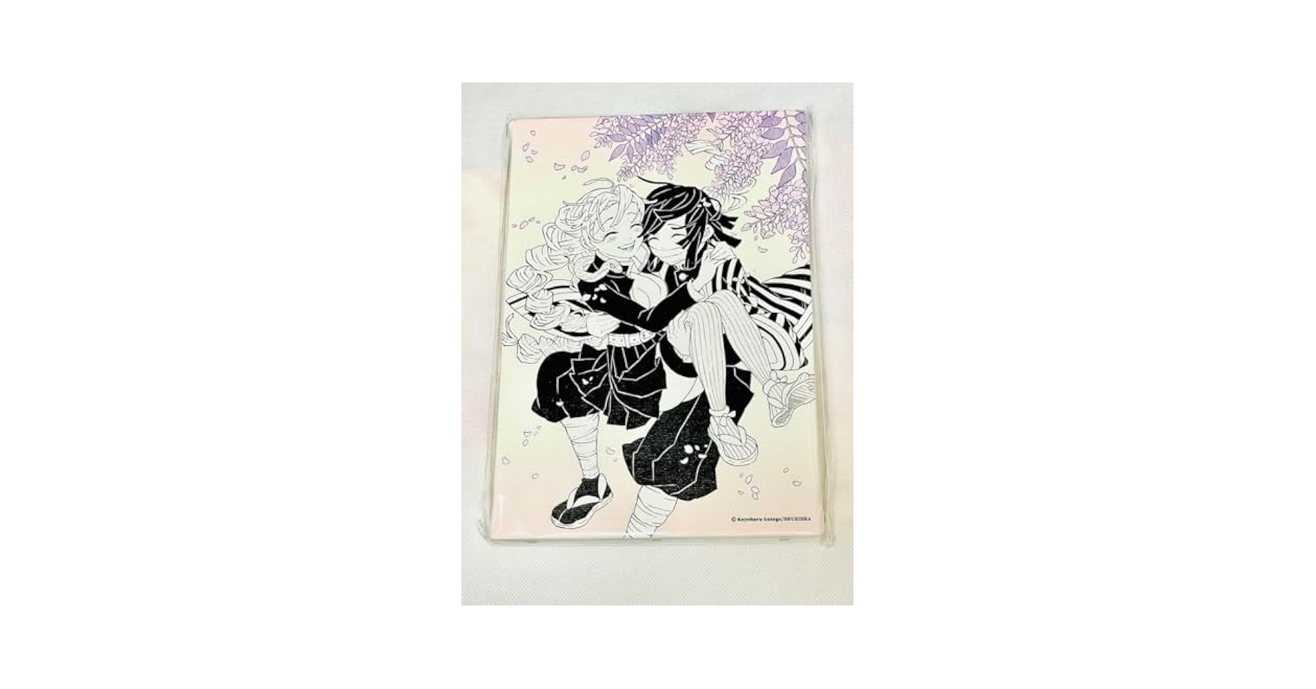 鬼滅の刃原画展デザインアートボード甘露寺蜜璃伊黒小芭内おばみつ新品