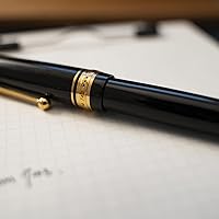 Amazon | PILOT 万年筆 マンネンヒツ カスタム743 B ブラック