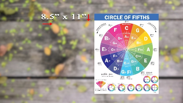 Amazon.com: QMG The Circle of Fifths Poster for Guitar and Piano