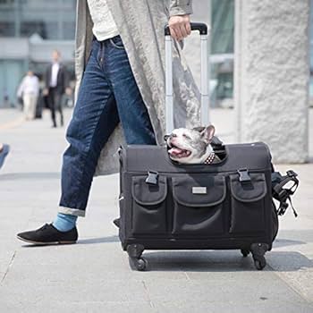 Amazon | TAKE ME キャリーバッグLサイズ 中型犬用リュック＆カート