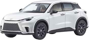 51HW0nPu0VL._AC_UF350,