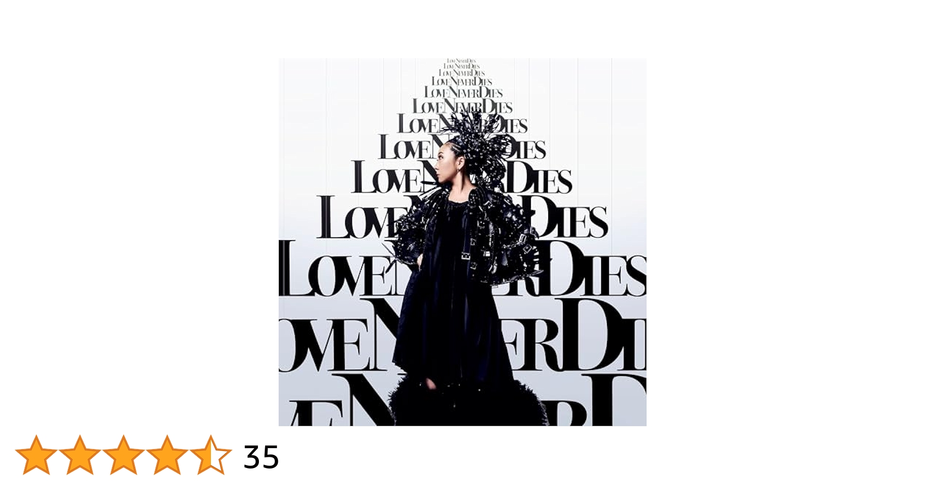 MISIA LOVE NEVERDIES マグネット 激レア MISIA マグネット LOVE NEVER