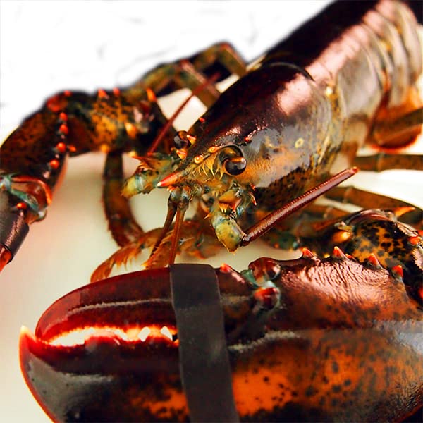 ブロンズ 海老 ロブスター 紙鎮 置物 在銘 約476g M R8551