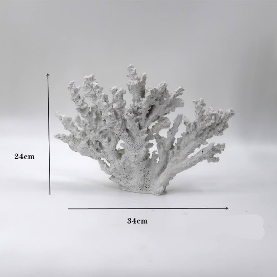 51I9Ps-Rr+L._AC_UF894,