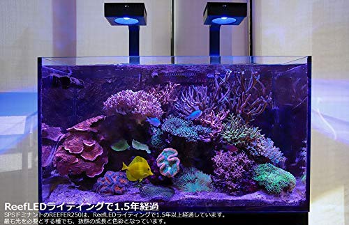 Amazon.co.jp: レッドシー リーフLED ReefLED50 マウントアームセット