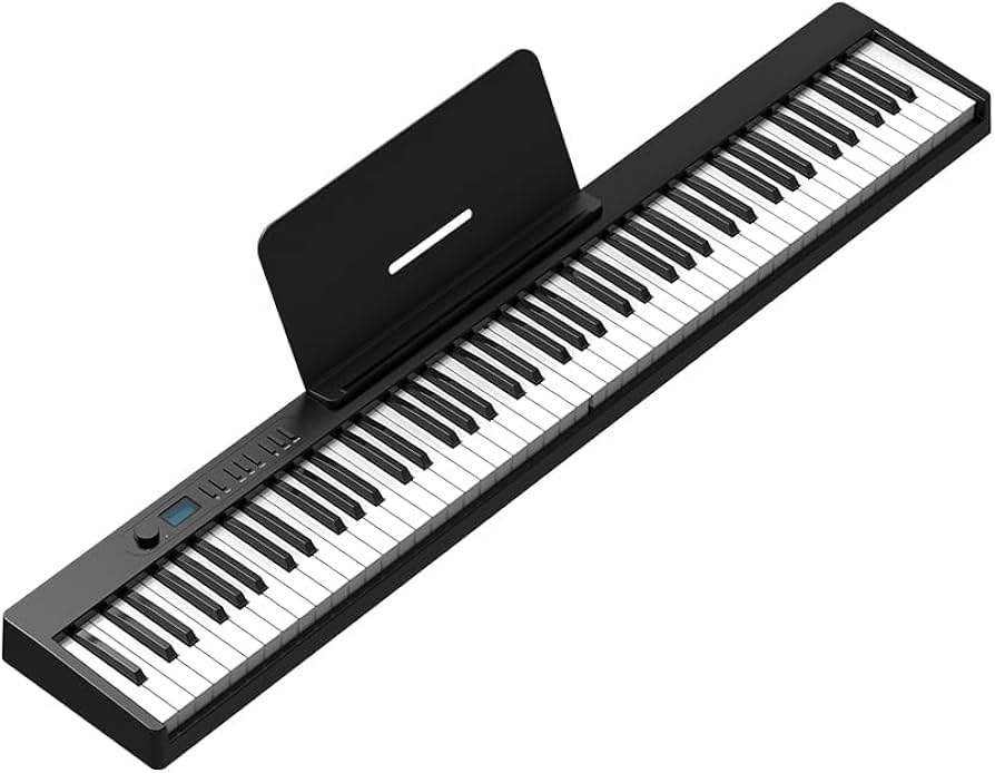 CARINA カリーナ 電子ピアノ88鍵盤 SR0088C Amazon | Carina 電子