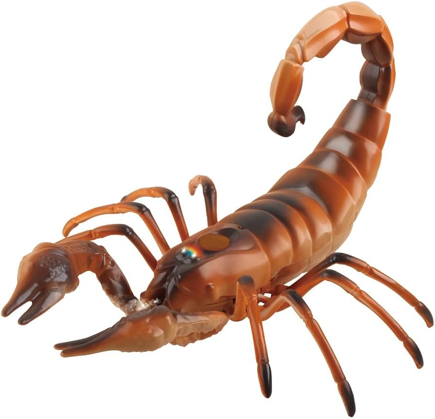 レッドクロースコーピオン 立体標本 レッドクロースコーピオン 立体