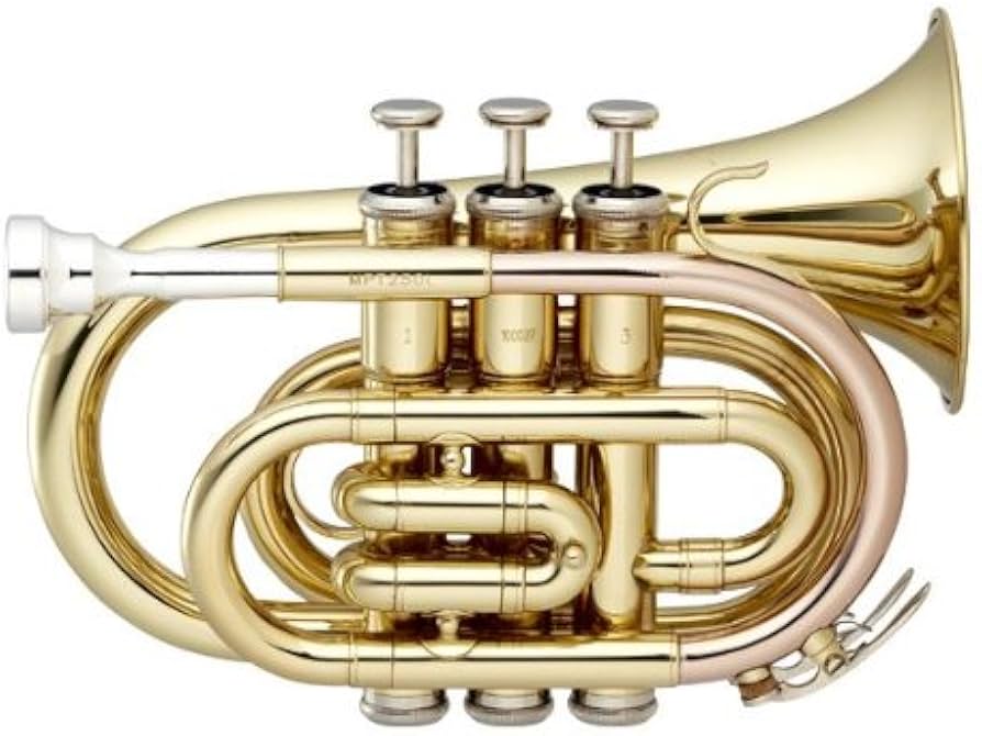 Amazon.co.jp: MINERVA / ミネルバ MPT250L ポケットトランペット