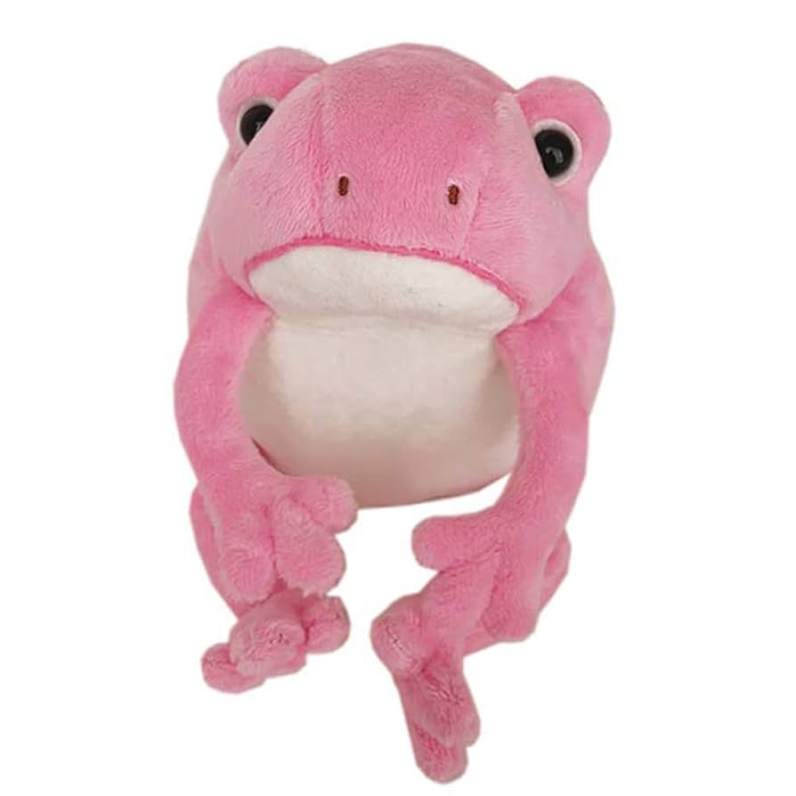 激レアタグ付きモンスイユボーノカエルぬいぐるみレトロ