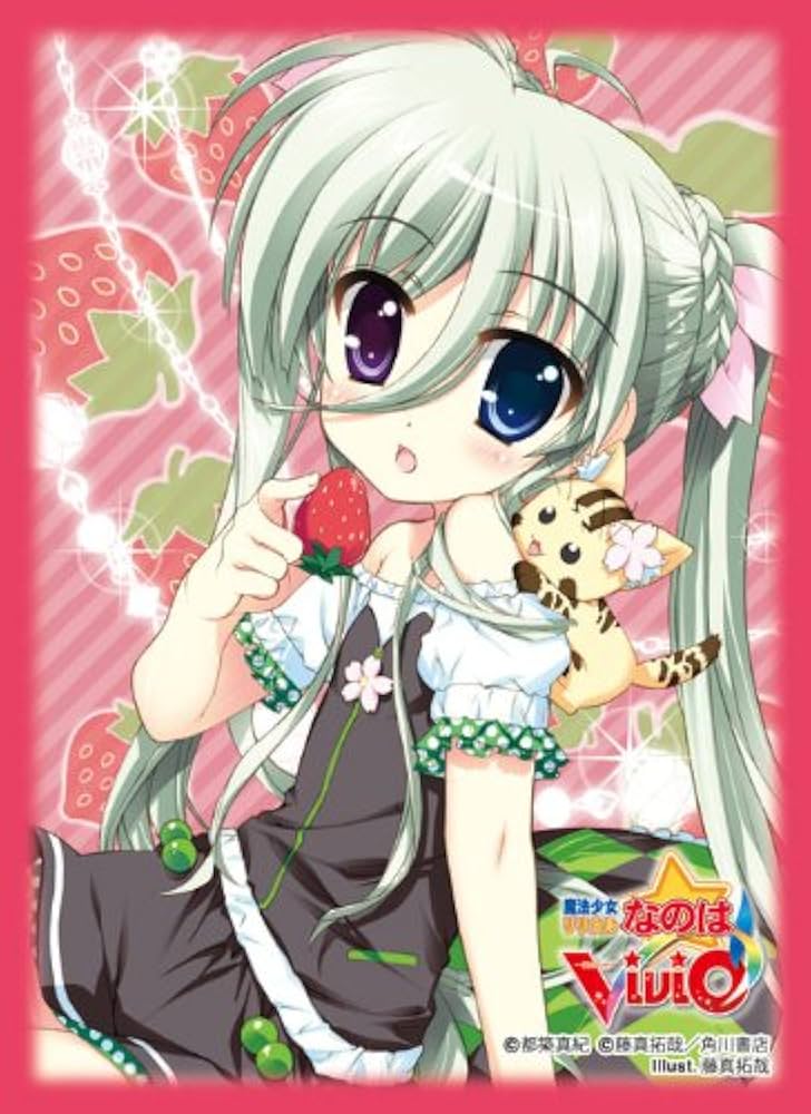 Amazon.co.jp: キャラクタースリーブコレクション 魔法少女リリカル