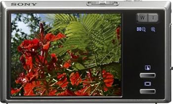 Amazon.com : Sony Cybershot DSC-T50 7.2MP Digital Camera with 3x