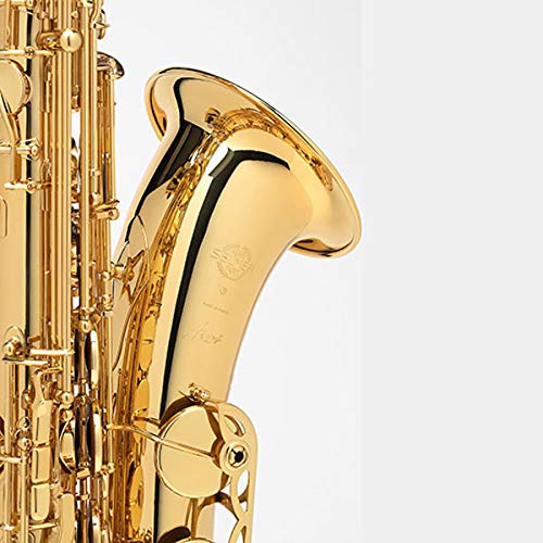 Amazon | H.Selmer/TENOR SAX AXOS セルマー テナーサックス アクソス