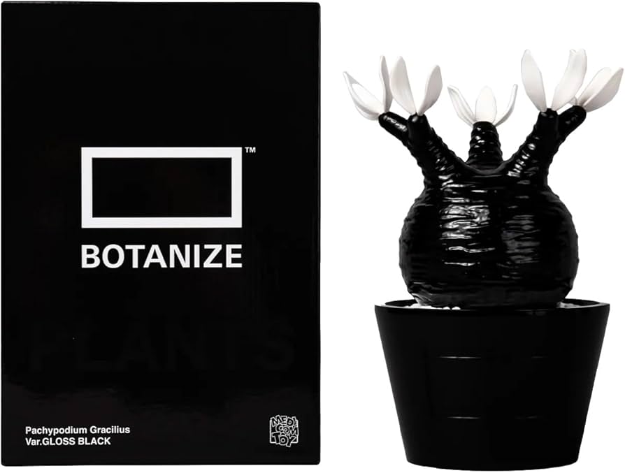 Amazon.co.jp: MEDICOM TOY × BOTANIZE 植物フィギュア, グロス