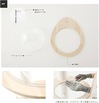 Amazon | [SUMIKA スケルトンラウンドベッド L ラージサイズ] キャット