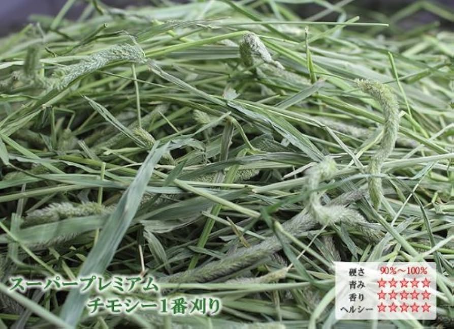 Amazon | 【令和7年度産新刈り】牧草市場 スーパープレミアム チモシー