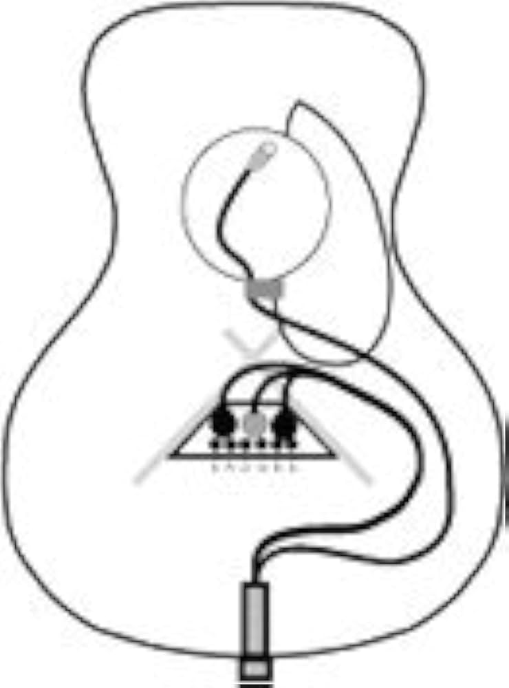 Amazon.com: K&K Sound Trinity Mini PRO Guitar Pickup System w/Mic