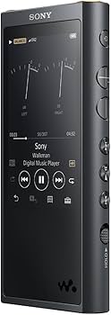 Amazon.co.jp: ソニー ウォークマン ZXシリーズ 128GB NW-ZX300G : φ4