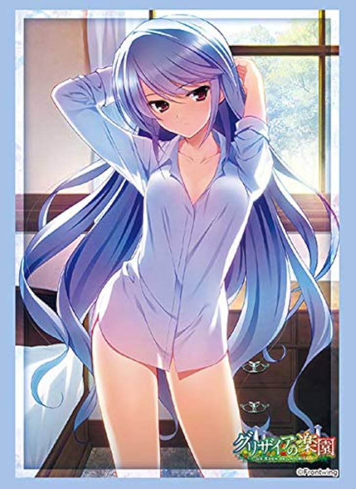 Amazon | ブシロードスリーブコレクション ハイグレード Vol.2482