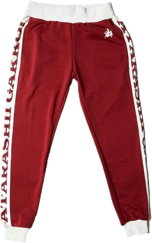 新しい学校のリーダーズ ジャージ L 上着のみ 赤 新しい学校の