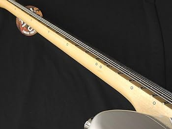 Amazon | FGN FUJIGEN NTE100MAHT WB フジゲン Neo Classic SERIES