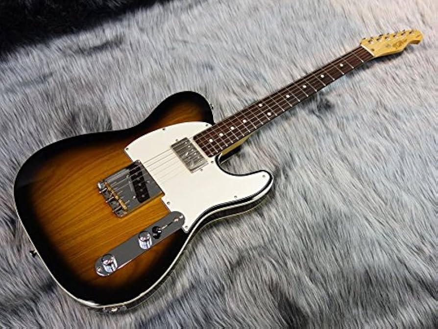 Amazon | FgN(FUJIGEN) NTL200 2TS ハムバッカー搭載!! エレキギター