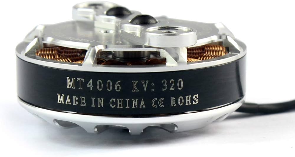 Amazon.com: TAROT TL2954 4006 Brushess Motor for 15 inch